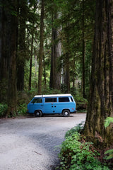 Blue camper van, ideal RV rental, parked on a forest road among giant redwood trees. Perfect for nature travel.