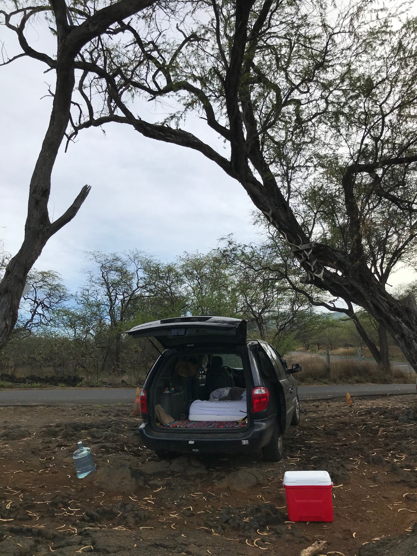A minivan converted for car camping, parked by antler-decorated trees. A cooler & water jug complete this DIY "RV rental" setup.