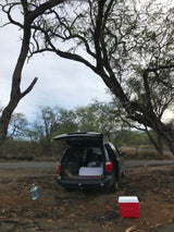 A minivan converted for car camping, parked by antler-decorated trees. A cooler & water jug complete this DIY "RV rental" setup.