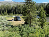 RV rental camping with dogs by a river in a scenic forest. Dead trees on a distant mountain are visible.