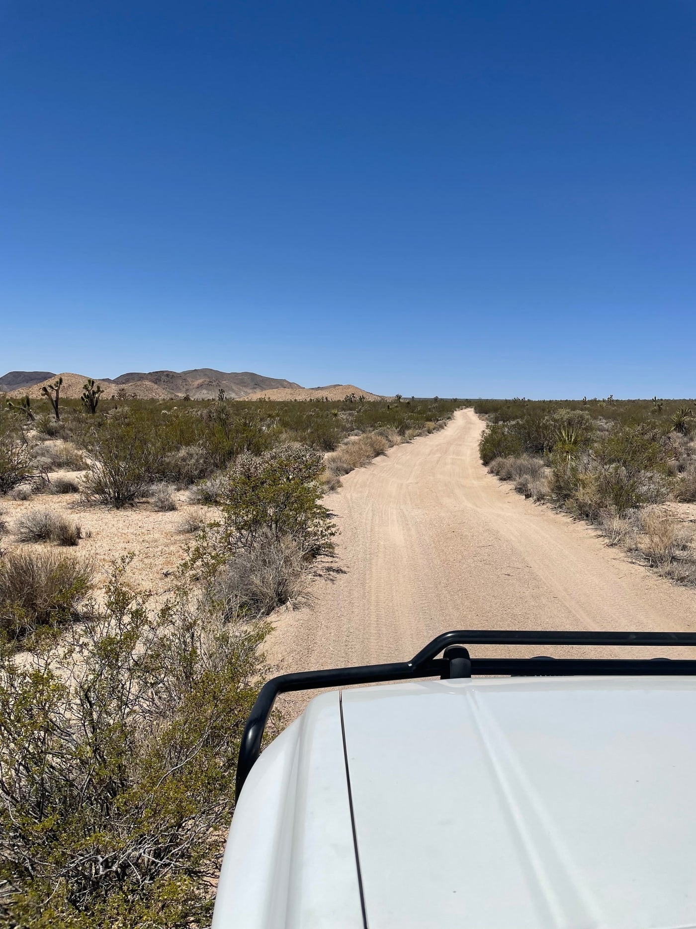View from an RV rental, navigating a desert dirt road. Joshua trees line the path under a clear blue sky. — photo 19
