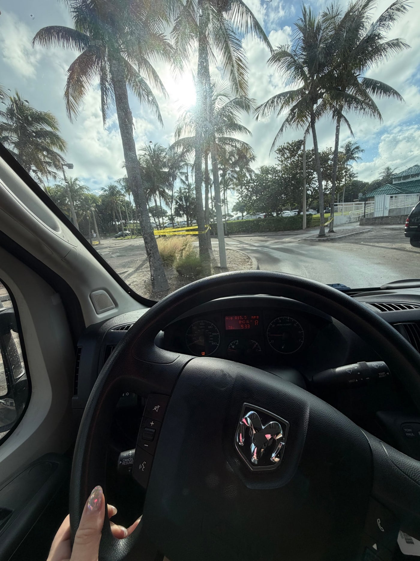  parked under sunny palm trees.|Open — photo 11
