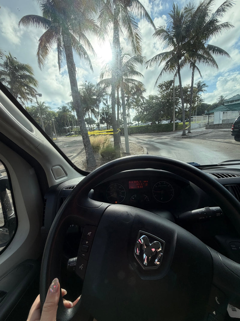  parked under sunny palm trees.|Open — photo 11