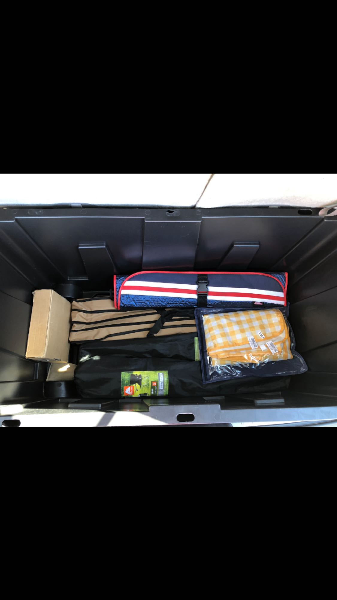 RV rental: Camping & picnic gear neatly packed in a storage bin. Includes a striped mat, chair bag, and checkered blanket.