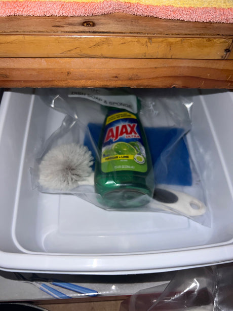 RV rental cleaning kit: Ajax dish soap, brush, and sponge in a compact bin, perfect for small spaces.