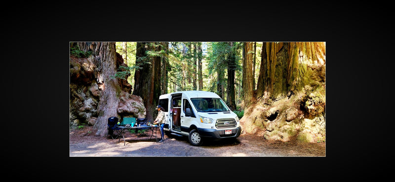 RV rental Ford Transit campervan amidst towering redwoods. A person prepares a campsite in the ancient forest. — photo 13