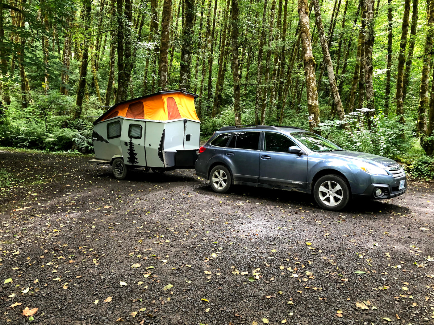 Blue Subaru with pop-top rv rental camper in a lush, mossy forest campsite. Ideal for nature trips.