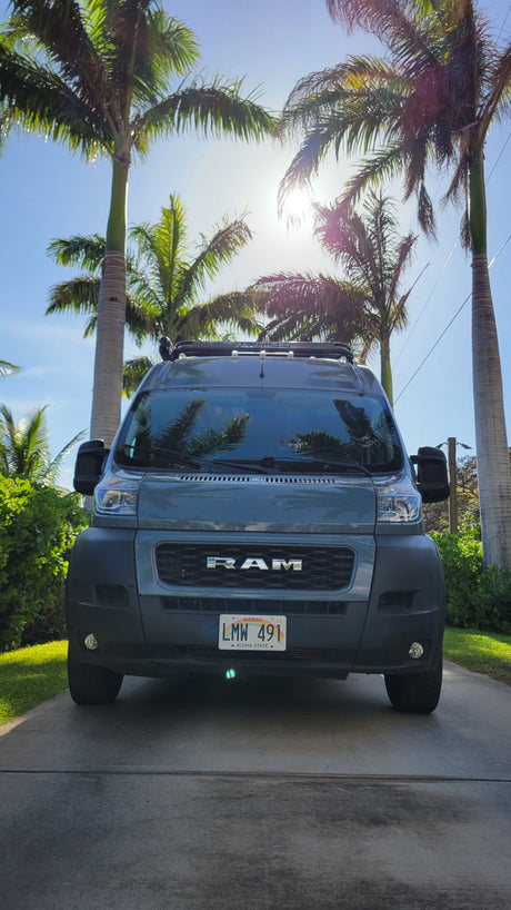 A grey Ram ProMaster van (likely an RV rental) with a roof rack under bright Hawaiian palm trees.