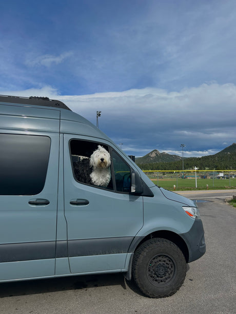 Curious dog in a grey RV rental van, parked by a baseball field with mountains in the distance.