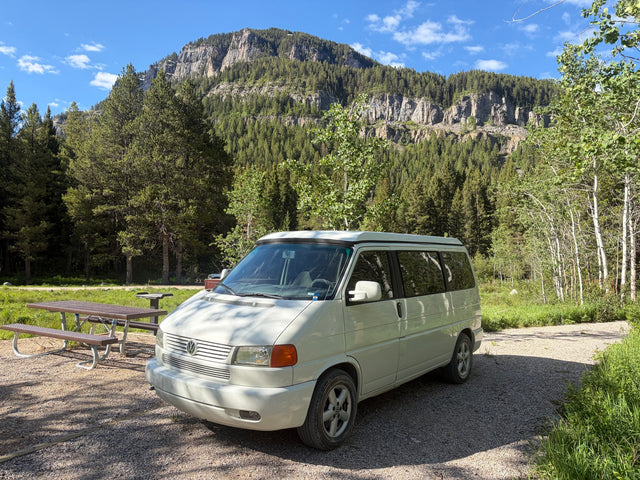 Leni the Wolkswagen Eurovan Weekender — photo 3