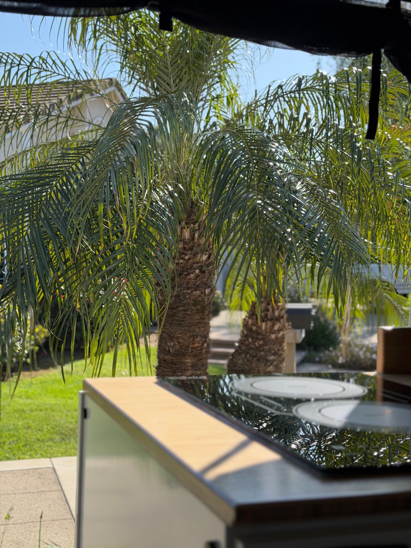 Outdoor counter with reflective cooktop, reflecting palm trees under a sunny sky. Ideal for your RV rental adventure's alfresco dining.