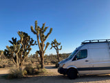 Silver RV rental van parked among tall Joshua trees in a sunny desert. Clear blue sky overhead.