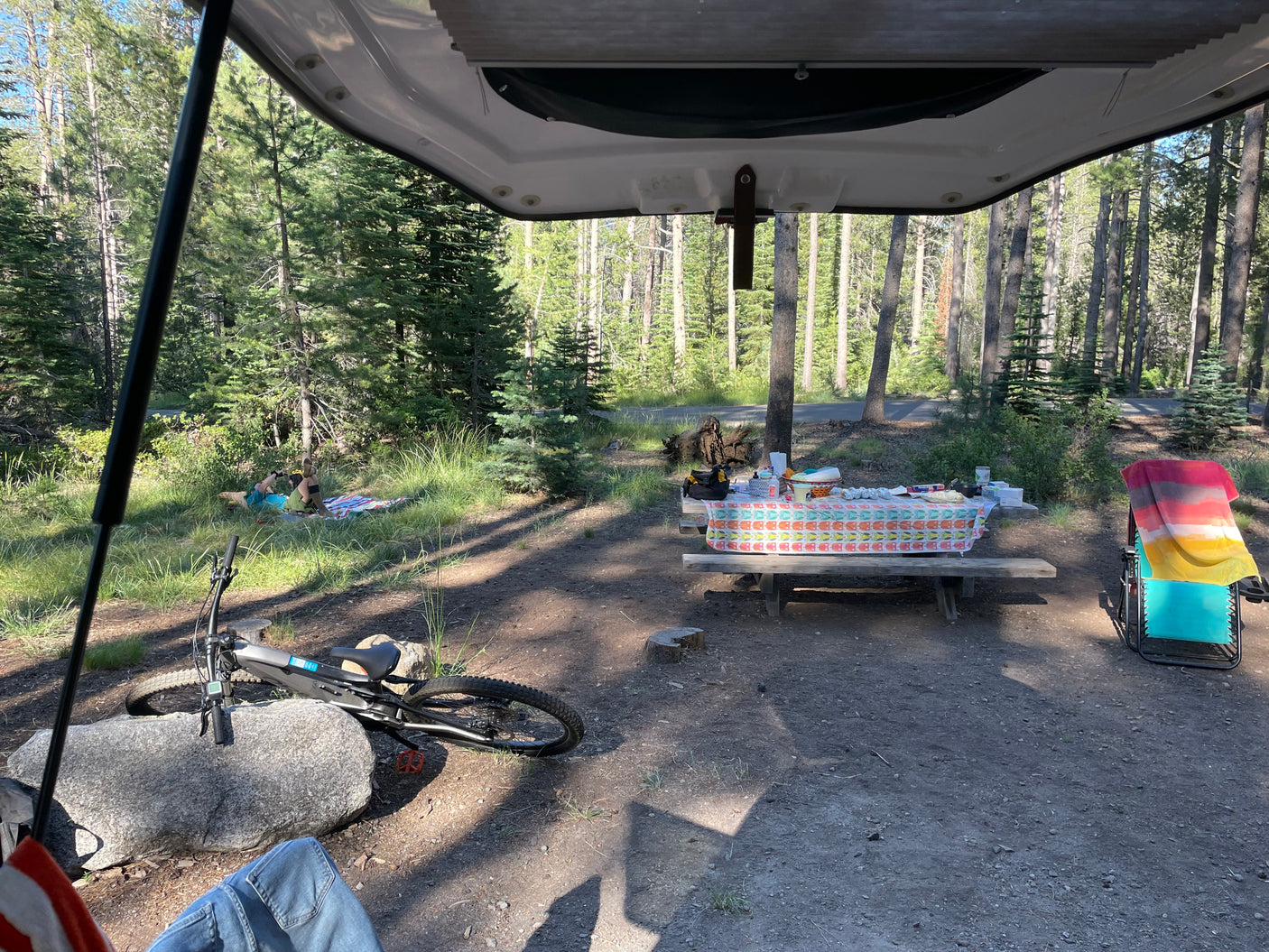 RV rental view: A serene forest campsite with picnic table, bike, and person relaxing on a blanket.