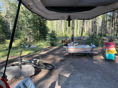 RV rental view: A serene forest campsite with picnic table, bike, and person relaxing on a blanket.