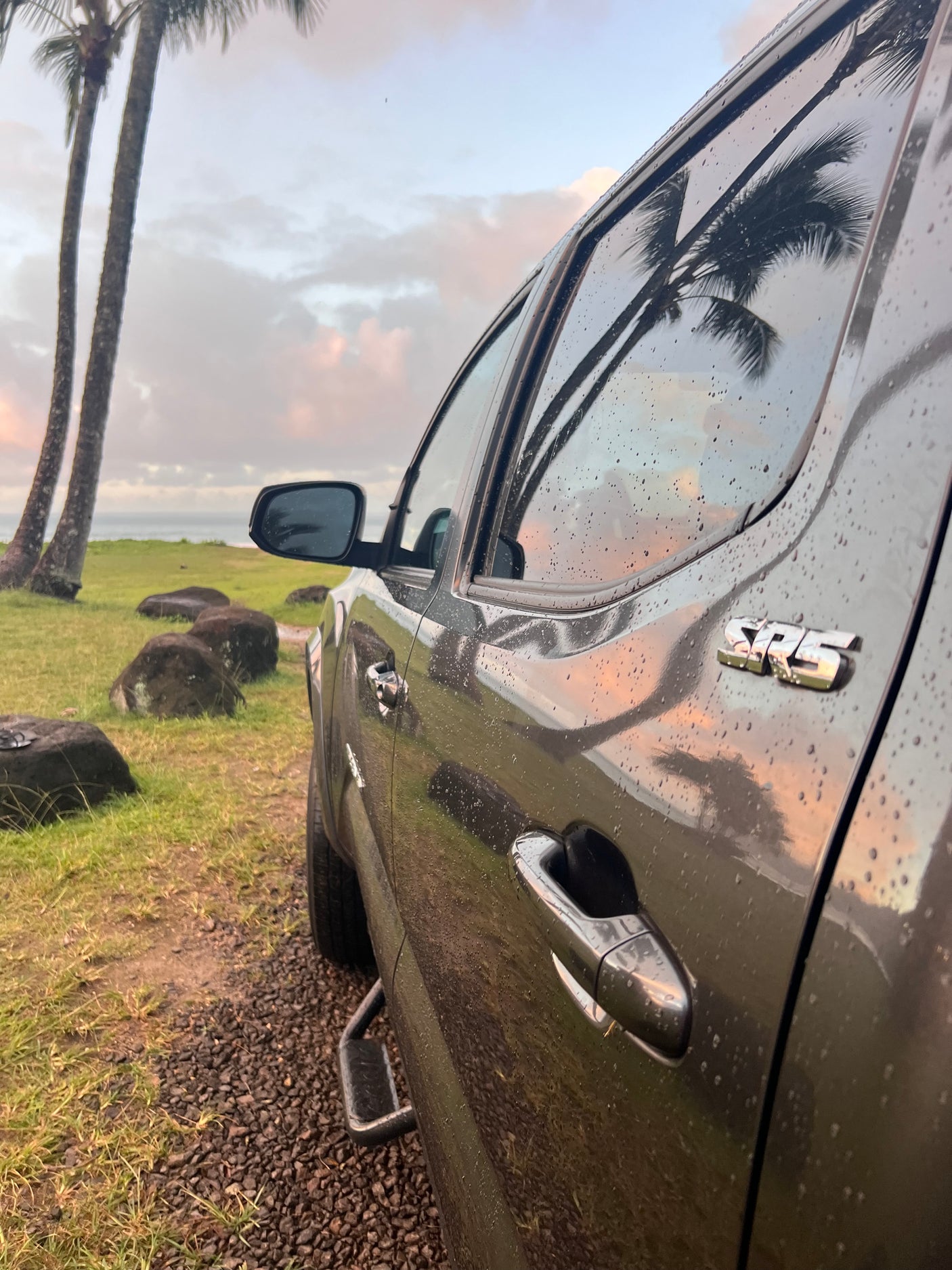 Rain-kissed dark truck by palm trees & ocean, reflecting the sky. Ideal for journeys like an RV rental adventure.