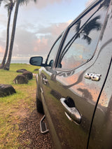 Rain-kissed dark truck by palm trees & ocean, reflecting the sky. Ideal for journeys like an RV rental adventure.