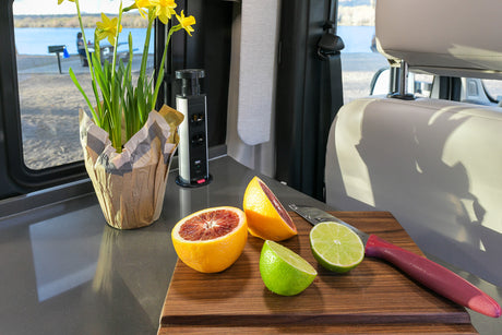 Enjoy fresh citrus, daffodils, and a pop-up outlet in your RV rental kitchen overlooking a lakeside campsite.