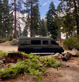 A dark green campervan, suitable for RV rental, parked on a dirt road in a pine forest, with ferns in foreground.