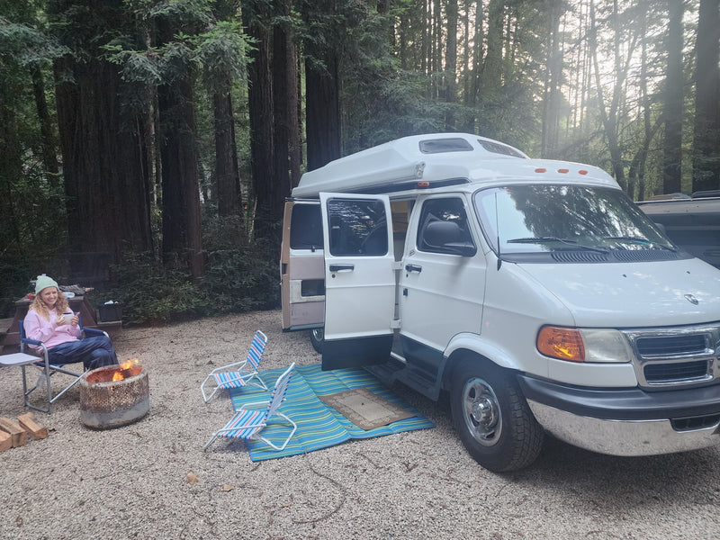  nestled among majestic redwoods and lush green foliage — photo 4