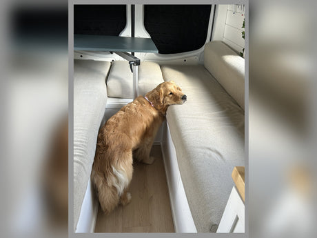 Custom Build Luxury Off-Grid Apartment on Wheels (Dog Friendly)