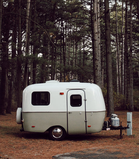 A vintage-style white & grey RV rental camper is nestled in a quiet pine forest campsite. Perfect for nature getaways.