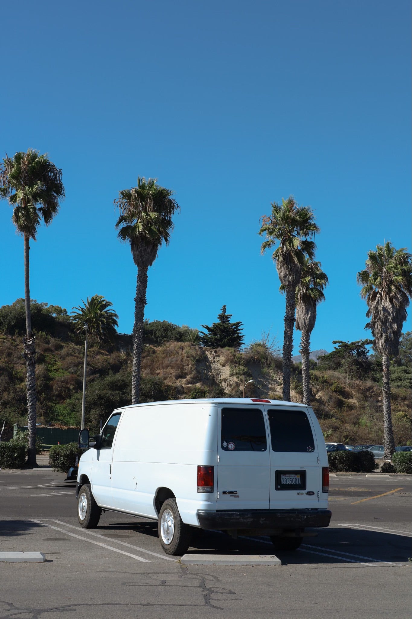 A white Ford E-150 van, a popular base for custom camper or RV rental, parked on a sunny day with tall palm trees and a clear sky.