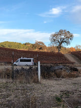White RV rental parked beside a dormant vineyard with rolling hills & oak trees, perfect for a scenic trip.