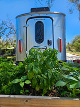 Rear of a silver Airstream RV (rv rental) behind a raised bed with lush basil & parsley plants.