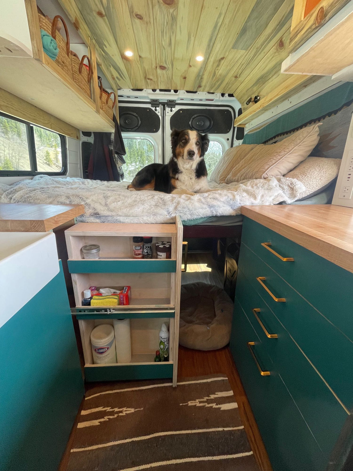 The Buddha Van (Four Season Van - built for winter!) — photo 11