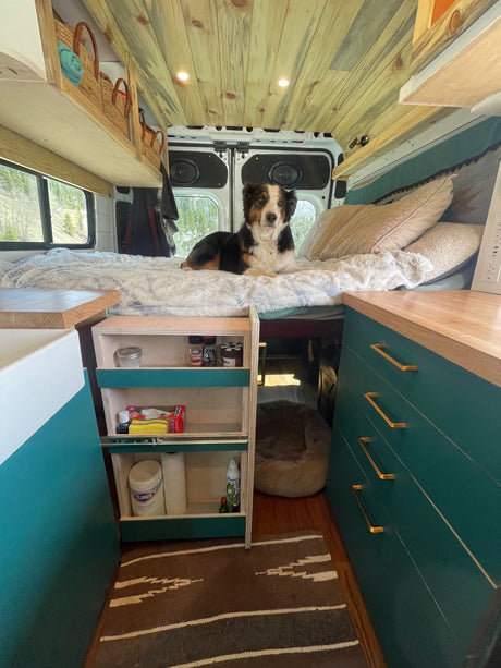 The Buddha Van (Four Season Van - built for winter!)