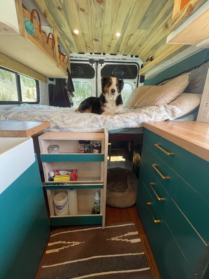 The Buddha Van (Four Season Van - built for winter!) — photo 11