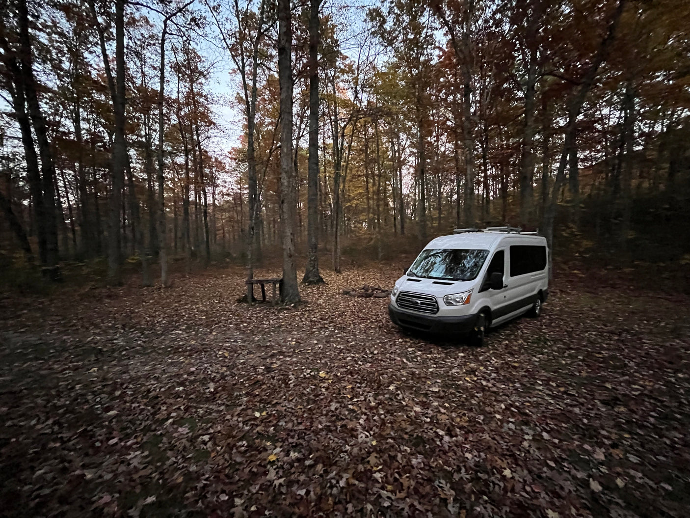 White Ford Transit van (RV rental) parked in a fall forest clearing, covered in leaves. Ideal for camping trips.