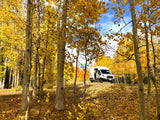 RV rental van parked among beautiful yellow aspen trees, with golden fall leaves scattered across the forest floor under a blue sky.
