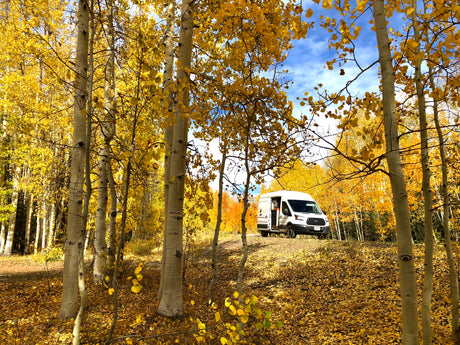 RV rental van parked among beautiful yellow aspen trees, with golden fall leaves scattered across the forest floor under a blue sky.