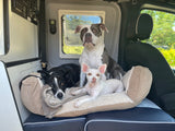 Three dogs relaxing inside an RV rental, settled comfortably on a dog bed for their pet-friendly road trip.