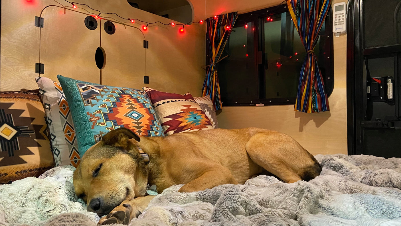 Cozy RV rental interior with a happy tan dog sleeping soundly on a fluffy blanket among Southwestern pillows and red string lights.