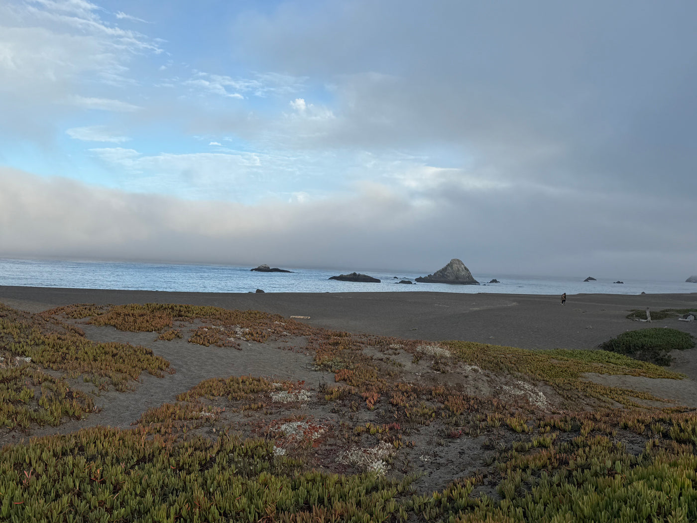 A dark sand beach with rocky outcrops, ocean fog, and green plants, an ideal RV rental escape. — photo 16