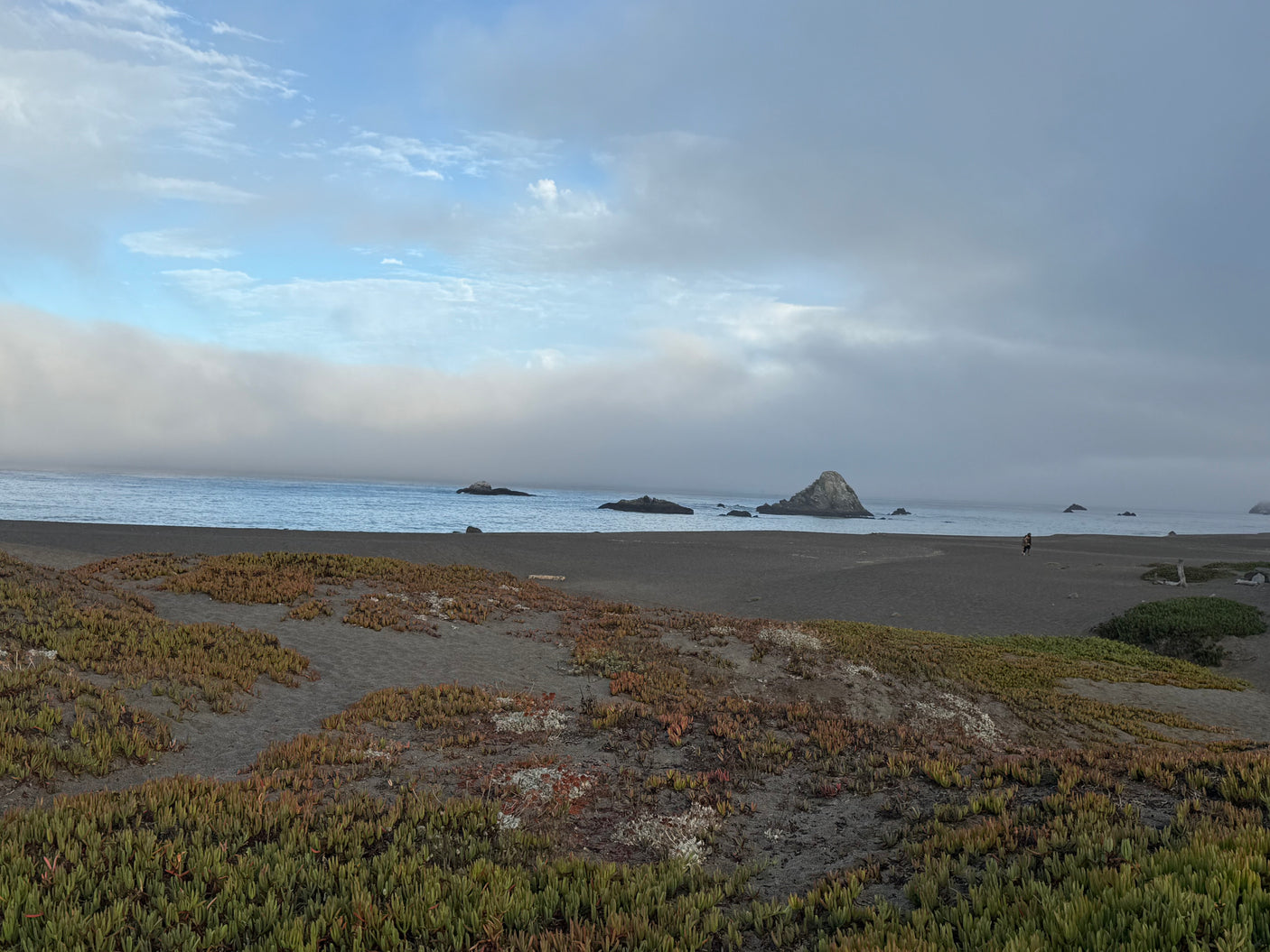 A dark sand beach with rocky outcrops, ocean fog, and green plants, an ideal RV rental escape.