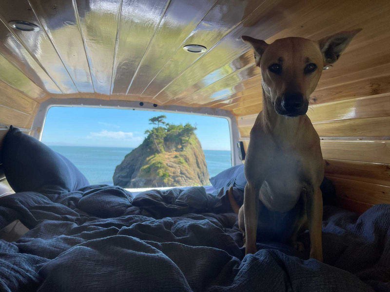  parked on gravel among wildflowers and forest.|Inside an RV rental — photo 8