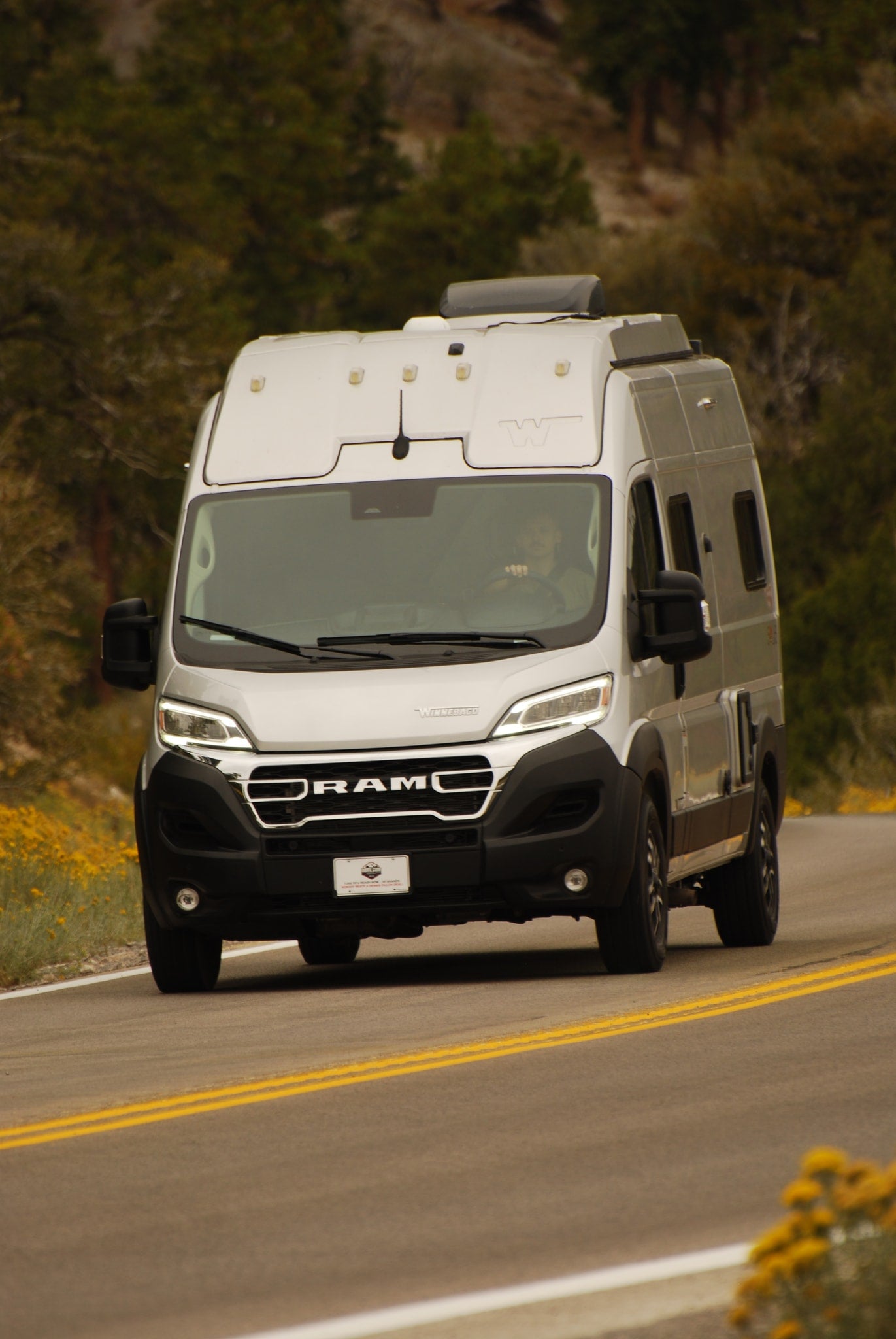  with tall plants & distant mountains under a blue sky.|Grey RV rental driving on a scenic mountain road — photo 8
