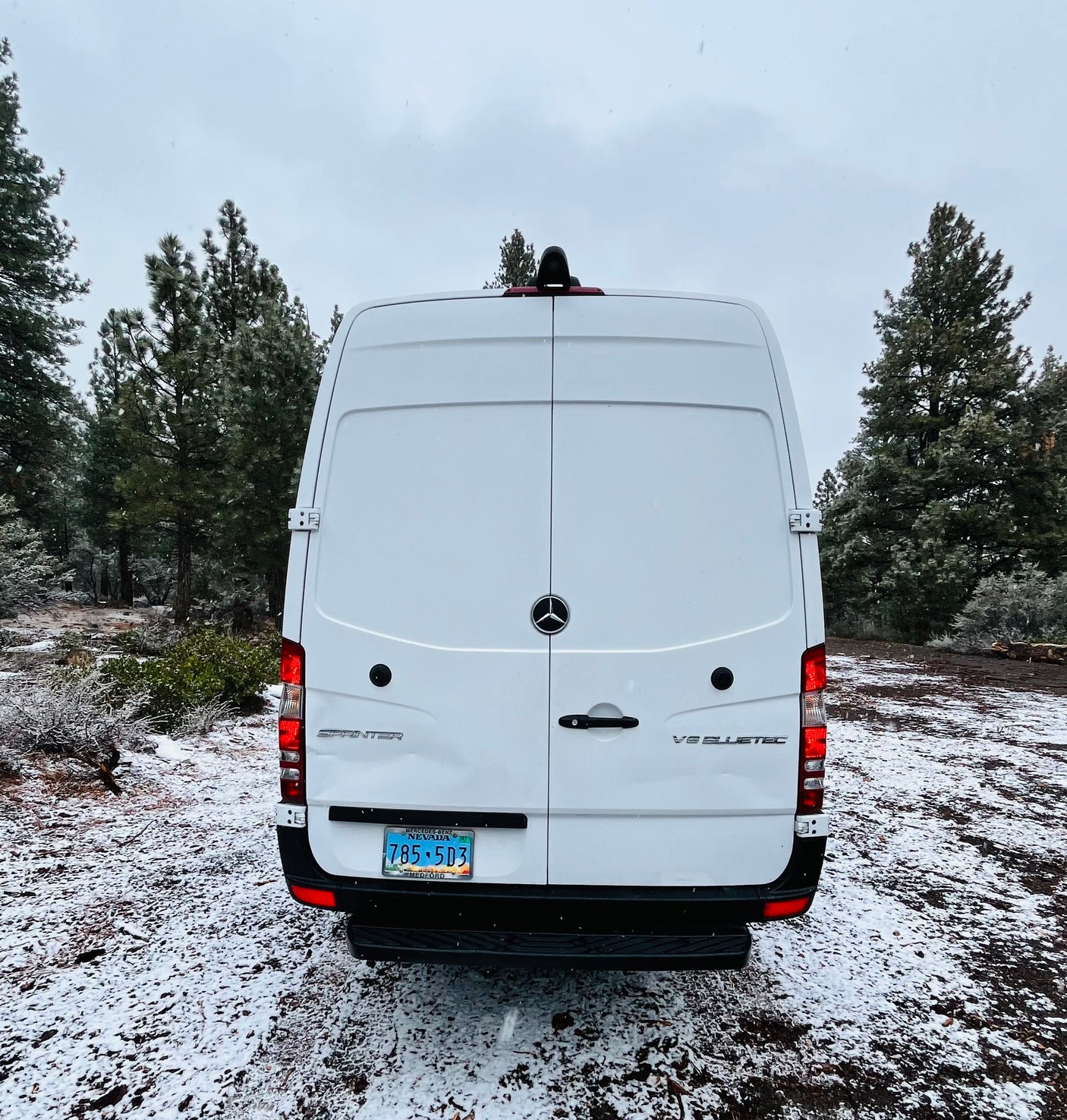 Rear view of a white Mercedes Sprinter rv rental van in a snowy forest with pine trees under an overcast sky.