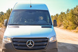 Dog "driving" a white RV rental van on a dirt road, ready for a pet-friendly adventure.