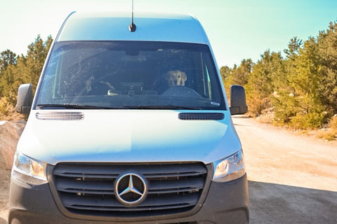 Adventures with Althea: 2021 MB Sprinter Campervan: Family & Pet Friendly — photo 2