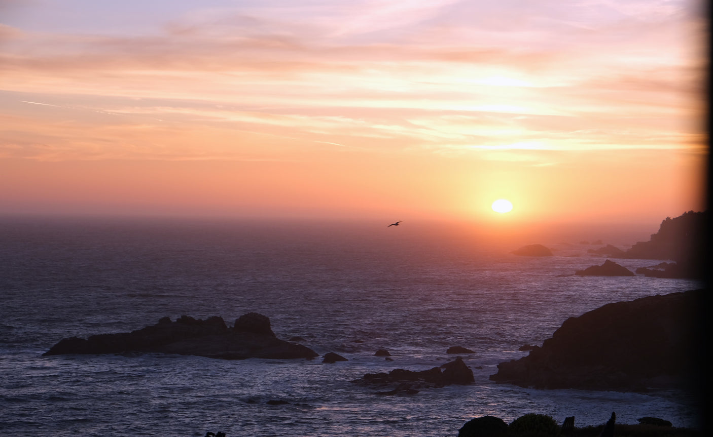 Experience breathtaking coastal sunsets via rv rental! Silhouetted rocks and a bird flying over the vibrant ocean at dusk.