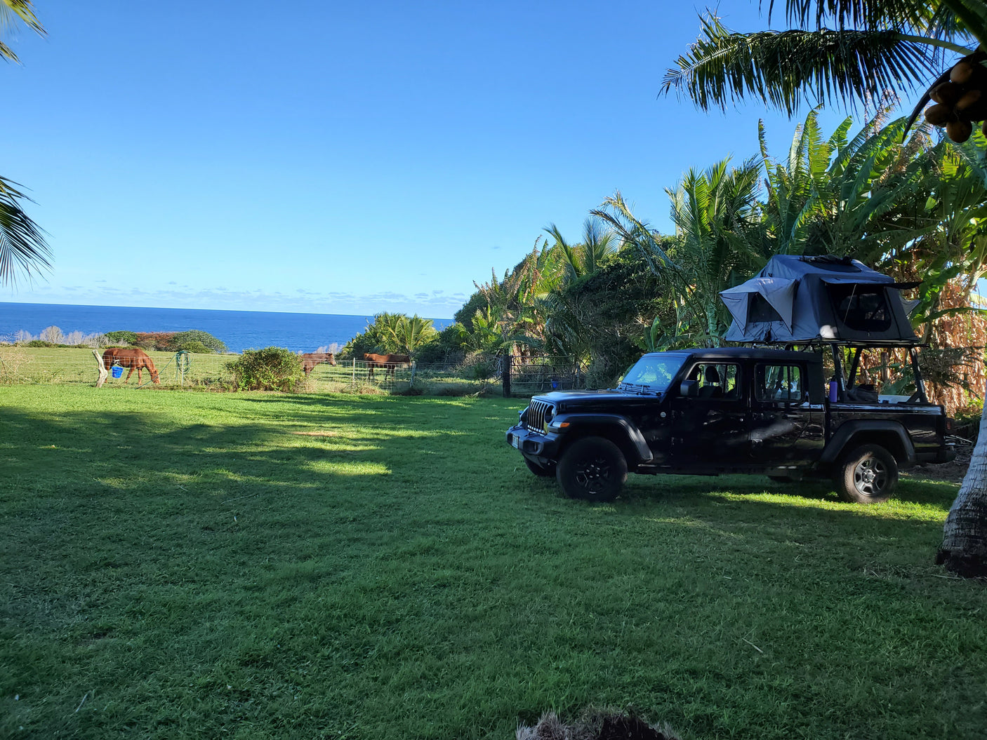 Oceanfront camping: a black Jeep Gladiator pickup with a rooftop tent setup, and horses. RV rental dream!