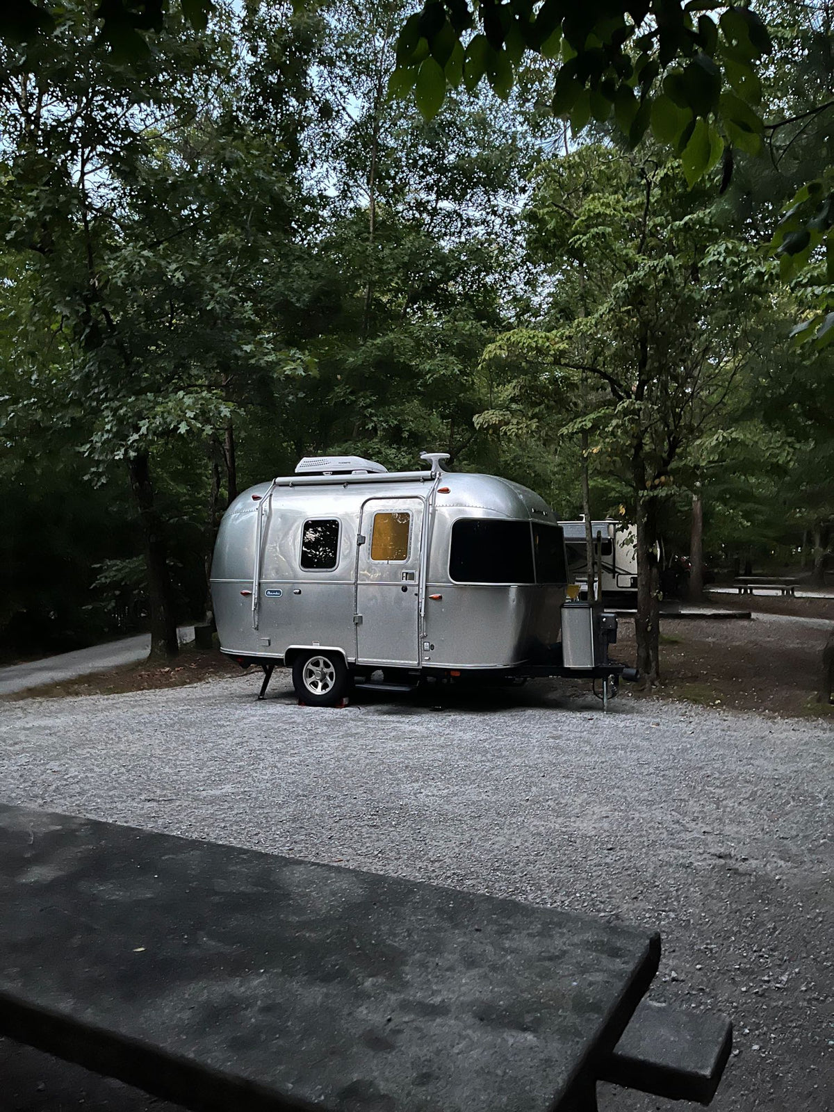 Cozy Airstream travel trailer RV rental parked at a serene forested campsite with warm interior lights glowing. Perfect outdoor getaway!|A shiny Airstream Bambi travel trailer