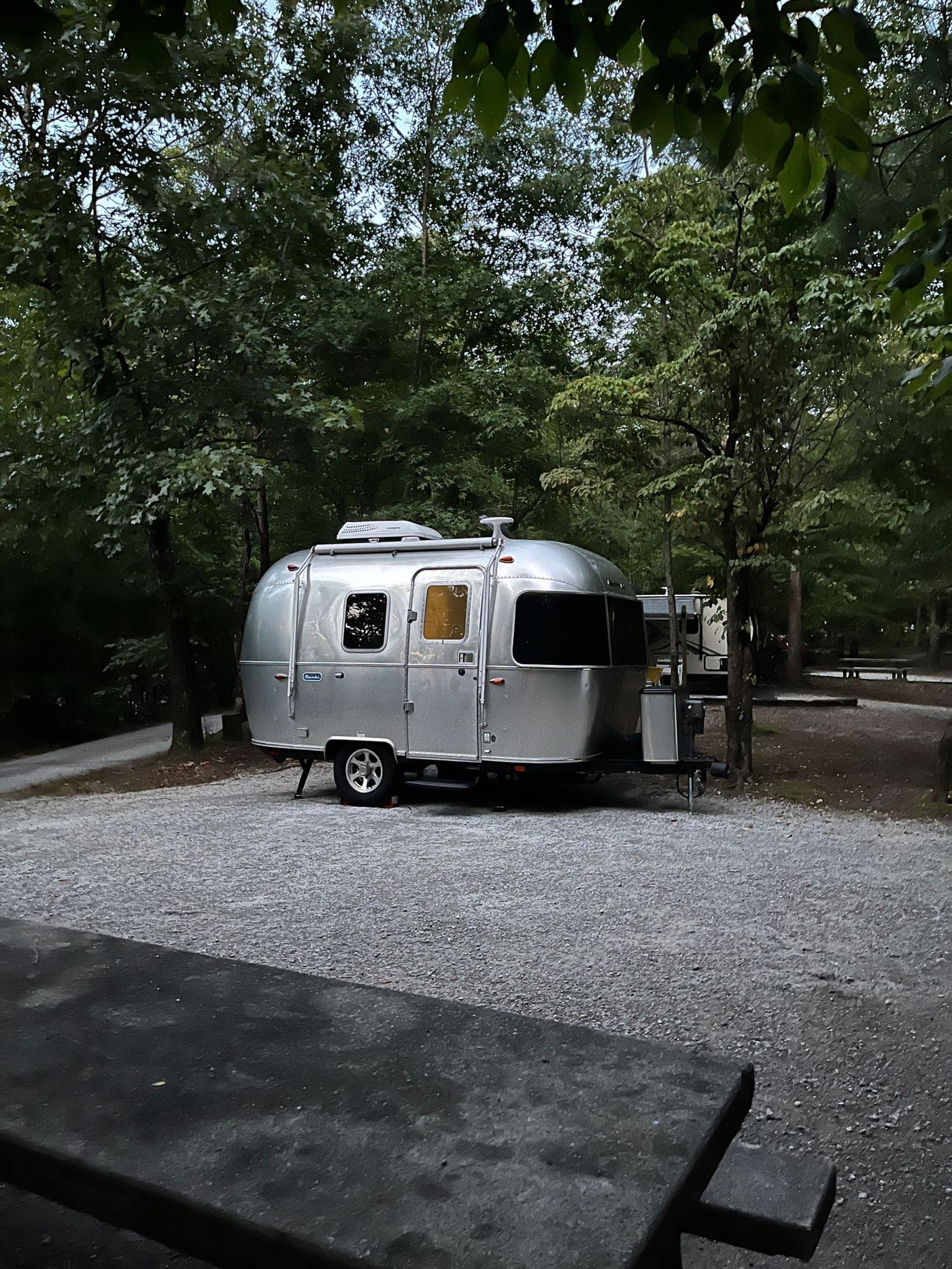 Cozy Airstream travel trailer RV rental parked at a serene forested campsite with warm interior lights glowing. Perfect outdoor getaway!