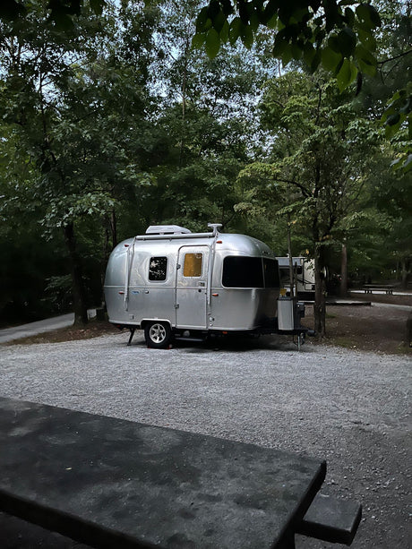 Cozy Airstream travel trailer RV rental parked at a serene forested campsite with warm interior lights glowing. Perfect outdoor getaway!