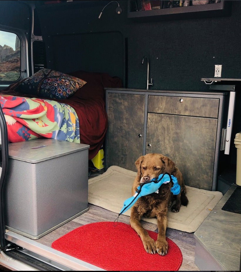 Aerie-1 Campervan Unlimited Miles (Pikes Peak Rental)