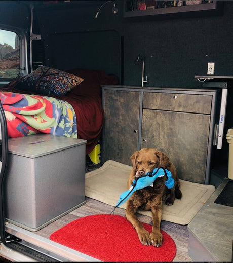 Aerie-1 Campervan Unlimited Miles (Pikes Peak Rental)